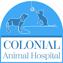 Colonial Animal Hospital logo