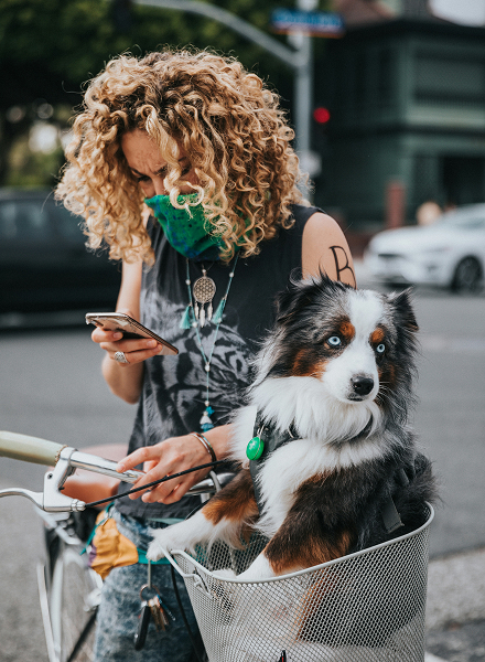 dog owner booking appointment