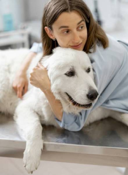 Lady Holding Dog