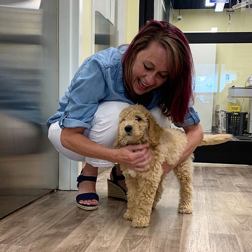 vet with puppy