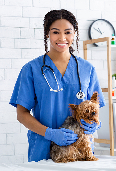 vet with small dog<br />
