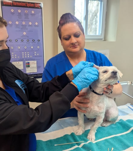 Dermatology & Allergy Treatment