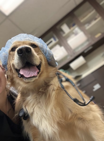 Surgery Services