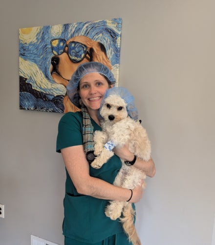 Veterinary Care
