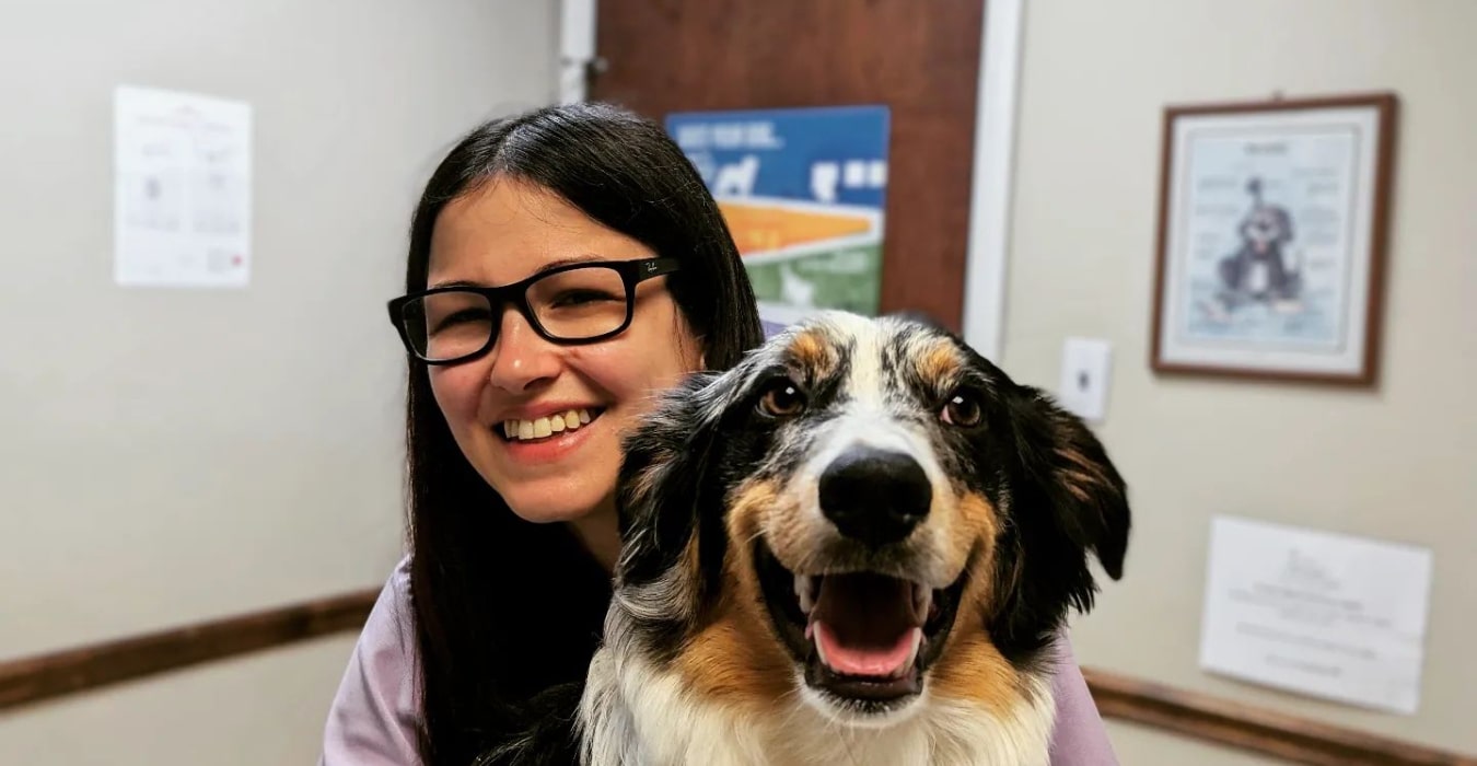 Meet Our Veterinarians