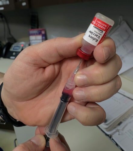 Vaccines
