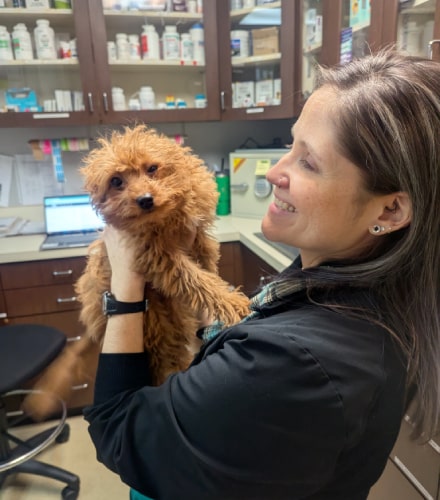 Pet Wellness